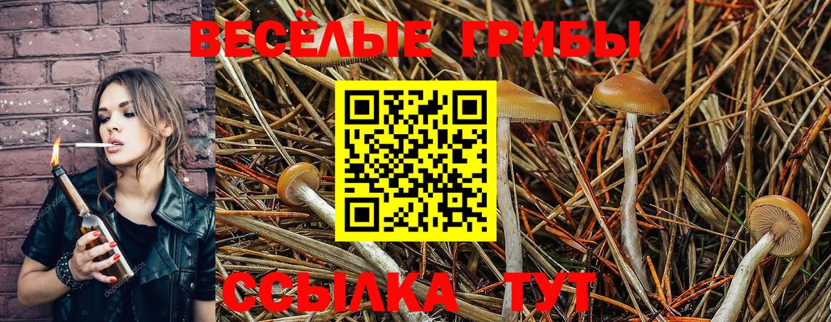 Галлюциногенные грибы прущие грибы Каменка