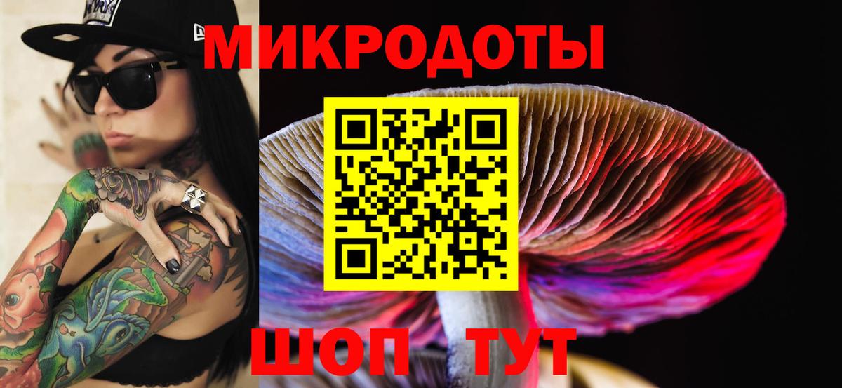 Псилоцибиновые грибы GOLDEN TEACHER  Вход с VPN  Псилоцибиновые грибы Psilocybine cubensis  Каменка 